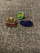 Welsh pin badge for sale  UTTOXETER