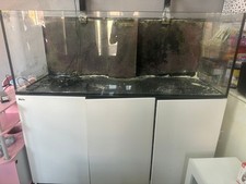 Red sea reefer for sale  BIRMINGHAM