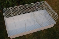 Kaninchen meerschweinchen käf gebraucht kaufen  Wesel