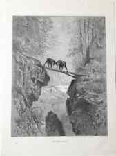 Gustave dore fiabe usato  Roma