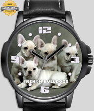 French bulldog puppies for sale  STOCKTON-ON-TEES