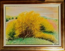 Mario soave pastelli usato  Palermo