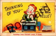 1955 greetings clear for sale  Schofield