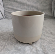 Single indoor plant for sale  JOHNSTONE