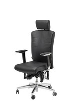 Haider bioswing bürodrehstuhl gebraucht kaufen  Wiesloch