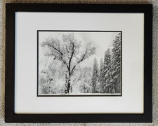 Ansel adams oak for sale  La Mesa