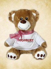 Arsenal highbury teddy for sale  CREWE
