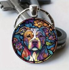 Staffordshire bull terrier for sale  SEAHAM