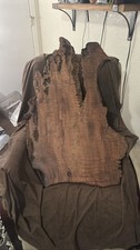 Old growth curly for sale  Eureka