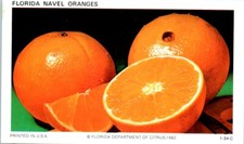 Florida naval oranges for sale  Hayden