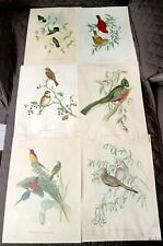 Lot vintage lithograph usato  Maddaloni