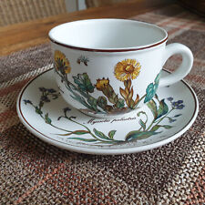 Botanica teetasse untertasse gebraucht kaufen  Überherrn