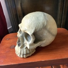 Fabulous quirky model for sale  NOTTINGHAM