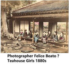 Start japanteahouse albumina usato  Spedire a Italy
