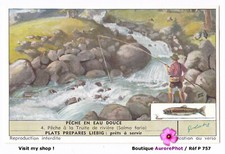 Freshwater fishing trout d'occasion  Expédié en Belgium