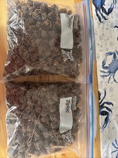 500 baby pine for sale  Hanover