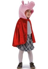 Costume carnevale bimba usato  Rancio Valcuvia