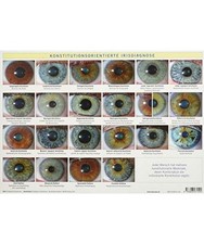 Konstitutionsorientierte irisd gebraucht kaufen Konstitutionsorientierte irisd gebraucht kaufen  Trebbin