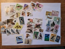 Birds prey. colourful for sale  CHESTERFIELD