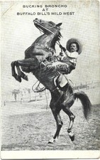 Bucking broncho buffalo for sale  Stow