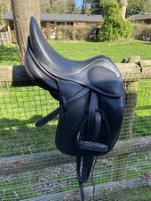 Childeric dressage pony for sale  SWANSCOMBE