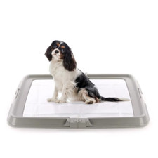Aqpetfriends baubox lettiera usato  Roccagloriosa