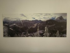 Winterlandschaft gedruckt lein gebraucht kaufen  Ludwigsburg