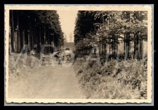 Foto ww2 polen gebraucht kaufen  Grammetal