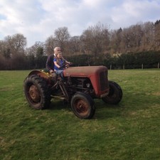 Massey ferguson tractor for sale  GLOUCESTER