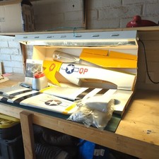 Hangar mustang wingspan for sale  Glendale