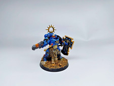 Lieutenant with storm usato  Verdellino