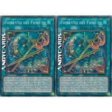 Fioretto dei fiori usato Fioretto dei fiori usato  Ravenna