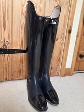 König palermo dressage for sale  CIRENCESTER