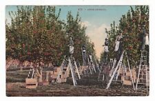 C1910 oregon washington for sale  Lincoln