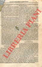 Crippa caccia degli usato  Italia