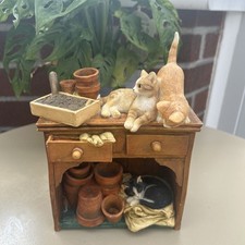 Kittens dresser plant for sale  YELVERTON