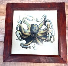 Framed octopus wall for sale  Deerfield