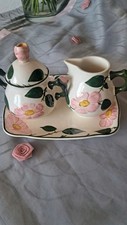 Villeroy boch wildrose gebraucht kaufen  Ensdorf
