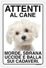 Maltese attenti cane usato  Vertemate con Minoprio