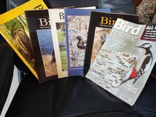 Birds magazines for sale  IPSWICH