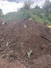 Top soil free for sale  RUGBY