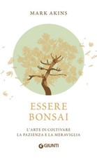Essere bonsai arte usato  Napoli