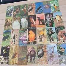 Carte nestlé merveilles d'occasion  Brives-Charensac