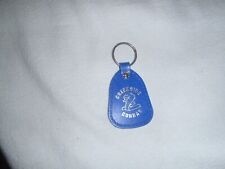 Key chain plastic for sale  Shipping to Ireland