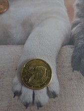 Cent münze 2023 gebraucht kaufen  Braunsbedra