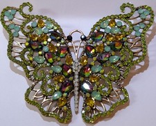 Gorgeous large butterfly for sale  Medina