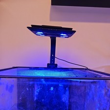 Maxspect jump l165 for sale  HENGOED