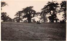 Lot340 real photo for sale  LONDON