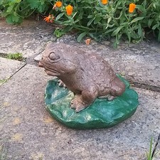 Frog toad water for sale  HOCKLEY