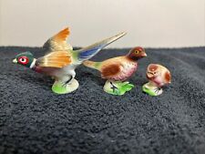 Miniature pheasant family for sale  LEICESTER